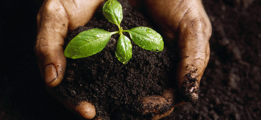 Top Soil & Leafgro- High Quality at Colony Supply in Dickerson & Darnestown MD