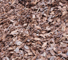 pine bark mini orlando mulch